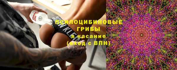 первитин Алексин