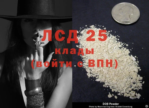 PSILOCYBIN Алексеевка