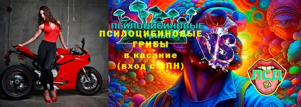 PSILOCYBIN Алексеевка