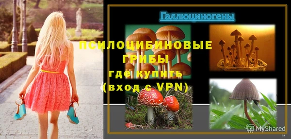 первитин Алексин